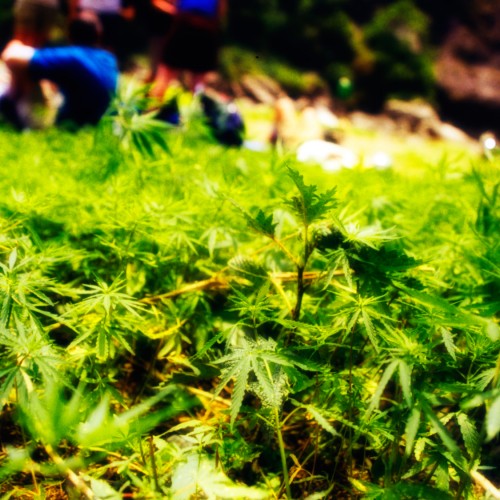 Adebratt - Lunch in the grass, Nepal 2000